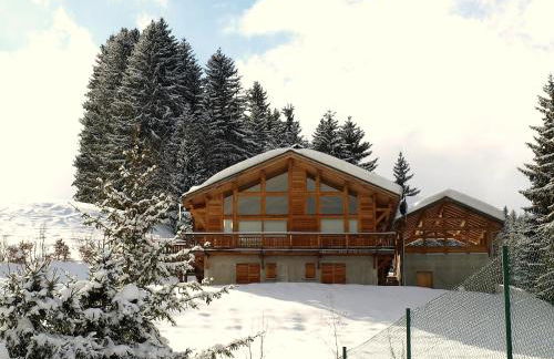 Chalet L'Epachat by Interhome - Foto 9