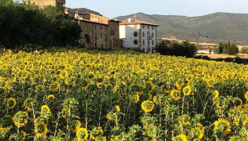 Migueltxoenea - Foto 1