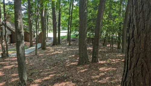 South Village 7 - Foto 5