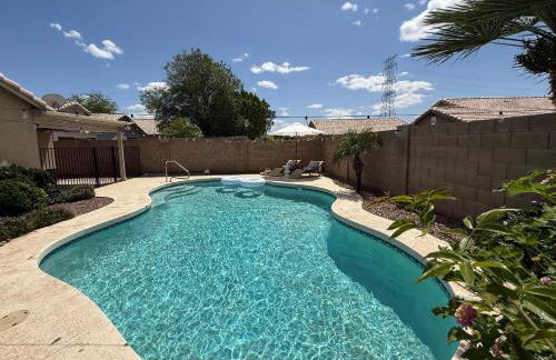 Cactus Bonito - Foto 2