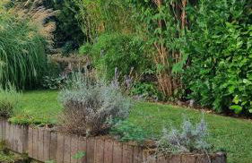 Ulli's Oase - Foto 6