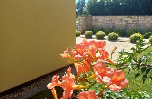 Apartment Lavanda - Foto 21