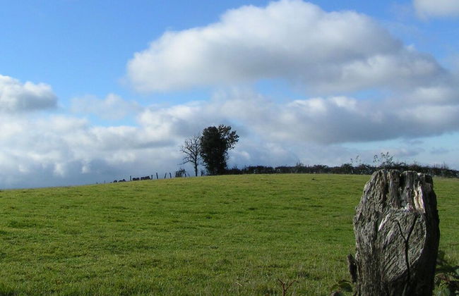 Gite de la Fontaine de Barry - Foto 15