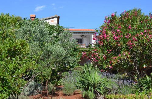 Apartments Basina - Foto 41