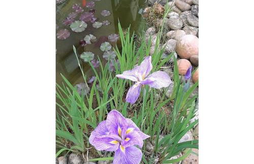 Holiday Apartment Magnolia - Foto 57