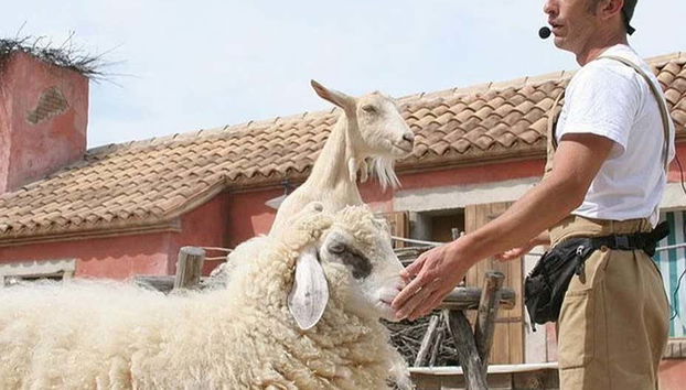 Animali da fattoria