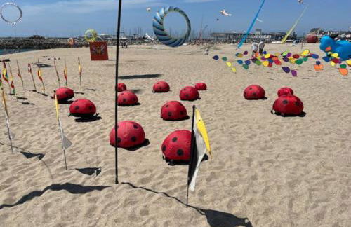 Appartement Vue mer "Petit Vent de Nordé" - Foto 37