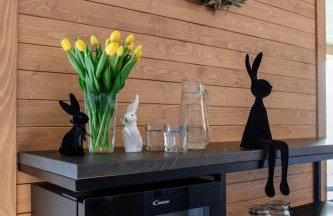 Leśny Wierch luxury spa villas - Foto 73