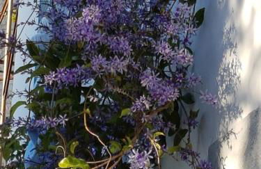 Casa da Madalena do Mar - Foto 16