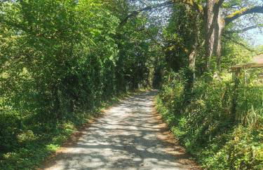 Studio Verthier - Foto 19