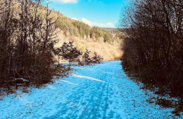 Afan house - Foto 24