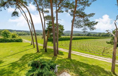 Vineyard View - Otium Wine Estate - Foto 13