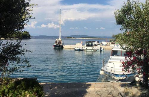 Apartments by the sea Zaglav, Dugi otok - 17788 - Foto 5
