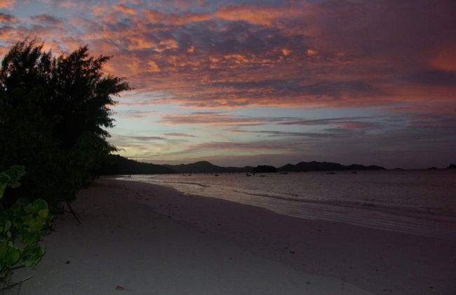 Heliconia Grove - Foto 27