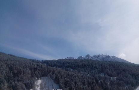 Hirschenhof - Foto 20