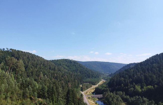 House in Vosges Near Forest and Hiking Trails - Photo 41