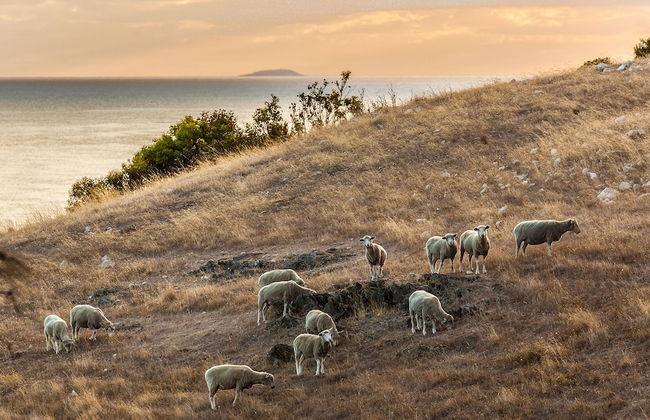 Antechamber Bay Retreats - Foto 46