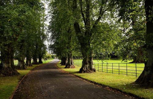 Bughtrig Cottage - Foto 22