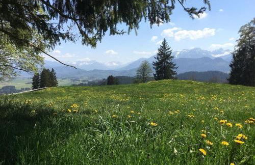 Villa Alpenblick Comfortable Holiday Residence - Photo 71