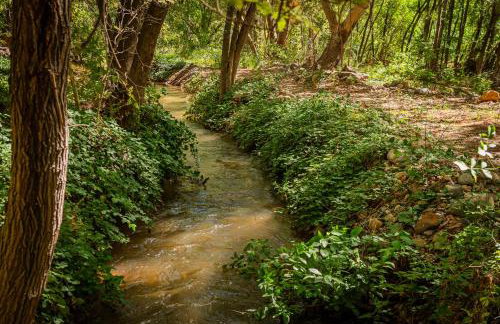 Myrinn-Hobbit Cottage on the Creek Storybook Stay - Foto 43