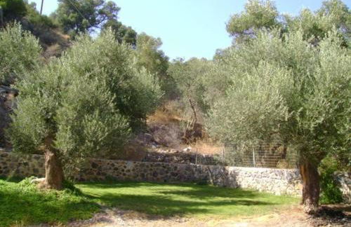 Rodakino Βay - Photo 32