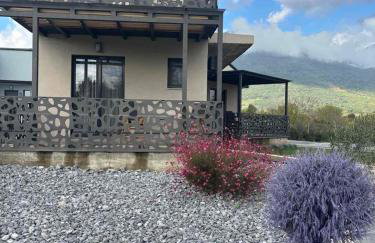 THE ROOMS - Photo 50