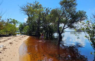 Premium Amazon Jungle Lodge - Foto 9