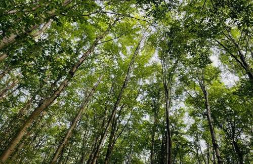 LandschaftsTräume - Photo 36