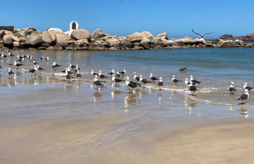 Residence Farol - Loft 213 - Vista mar e Farol - Photo 60