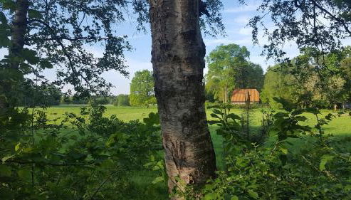 Gästehaus am Kattensteert - Foto 4