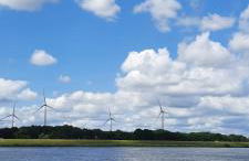 Zum Landmann - Foto 6