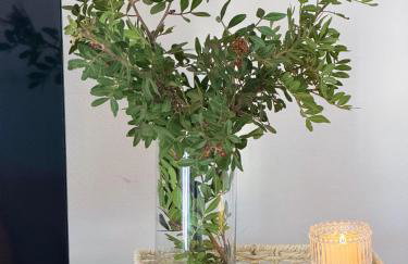 Casa Burano-Relax in Terrazza tra mare e natura - Foto 24