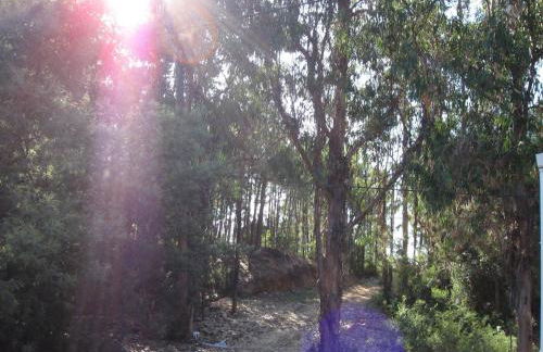 Résidence Santa - Foto 29