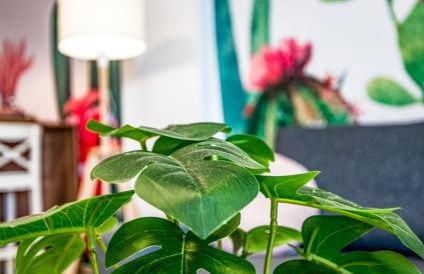 ENJOYTHEMOMENT Sotavento Suites - Foto 20