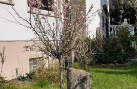 Im Vulkanland Fewo bis 6 Personen - Foto 7