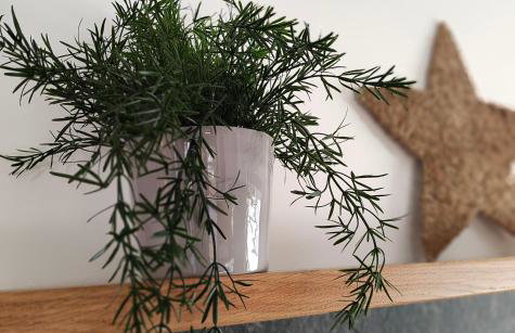 APART 558 Szczyrk SKI&BIKE premium apartamenty, basen, blisko wyciągów - Photo 28