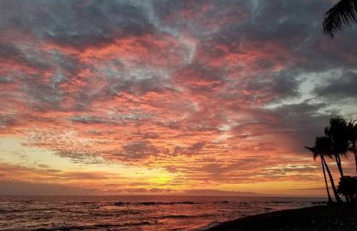 Ohana Beach Retreat at the Surf and Racquet Club - Foto 57