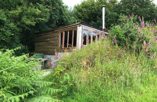FoxesDen, Unique Eco Cabin, Dartmoor views - Foto 33