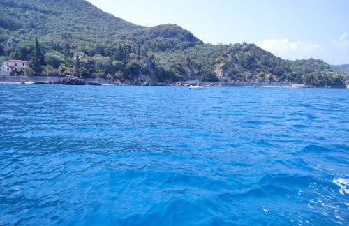 Il Vicoletto - Foto 5