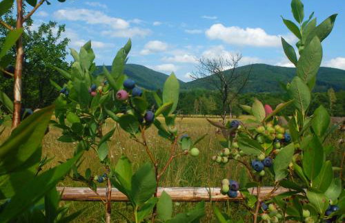 Dom Geologa - Foto 51