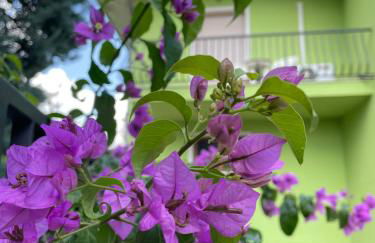 Secret Garden Egle - Foto 34