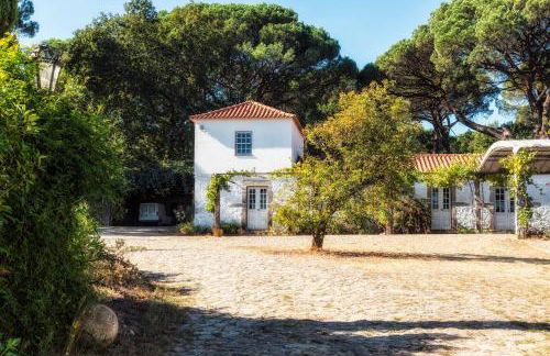 Wine Tourism - Quinta do Ameal - Foto 18