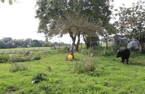 FeWo Geranie - Foto 13