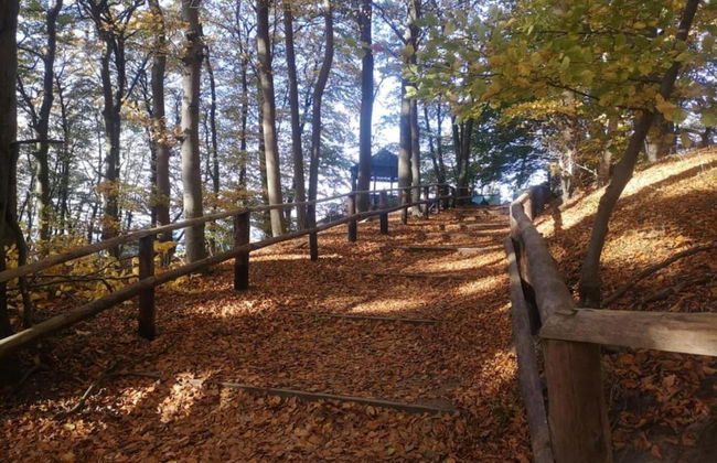 Bungalow With a Sunny Terrace - Foto 27