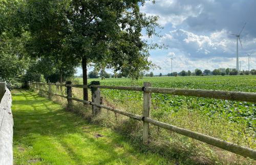 Ferienhäuser Weitblick - Photo 71