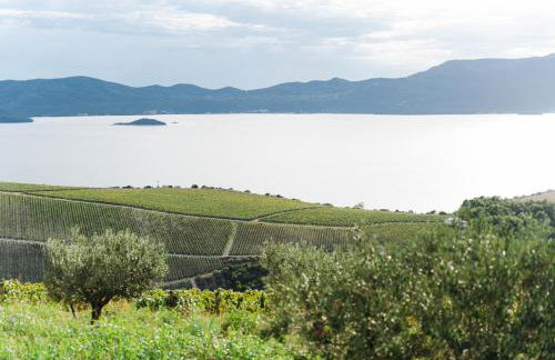 Villa Janja - Foto 26