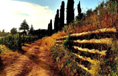 Villa Oliviana - Foto 67