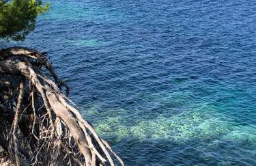 Villa Iva Lastovo - Foto 45