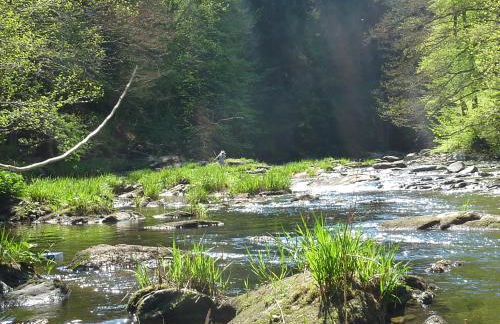 Eifelhaus4you - Foto 58