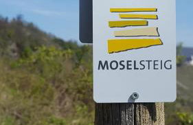 Ferienwohnung Sternenwald - Foto 46